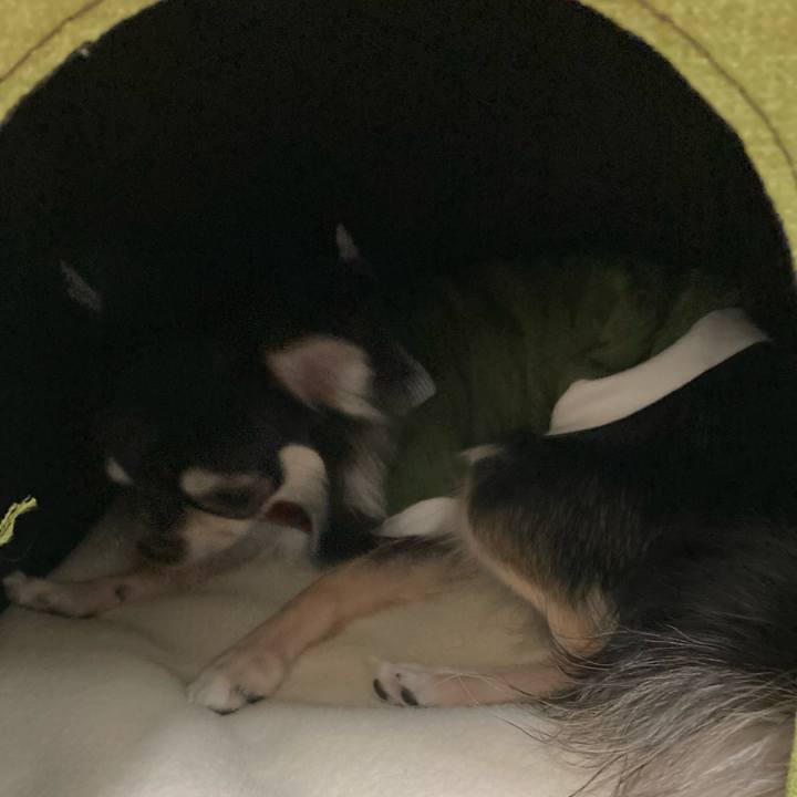 7652cf45 df74 4b2f 8321 65764e7e9d14 1611462349234