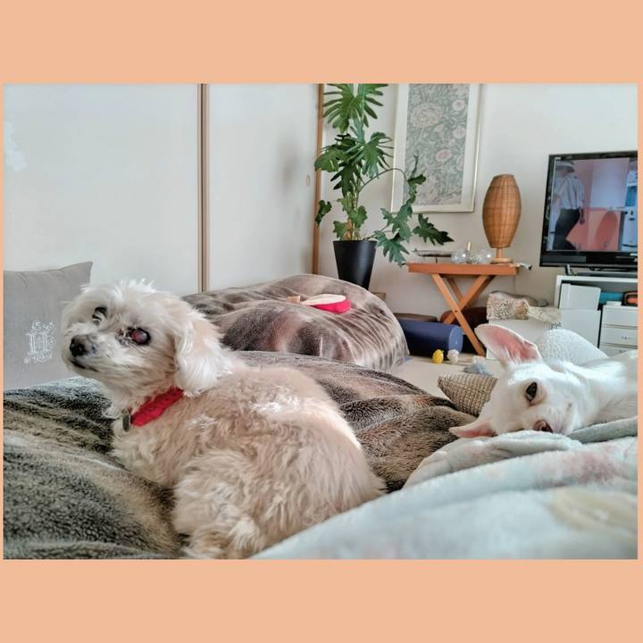 7652dcb8 d5e8 4c8a 9e6a 015745459226 1704159150933