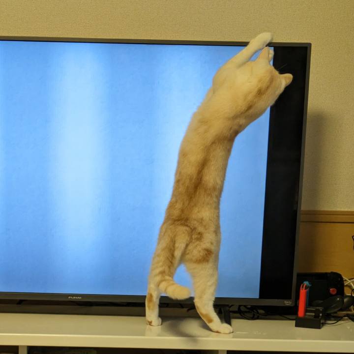 7652e542 73ec 4092 a333 88e3070fc014 1701041622722