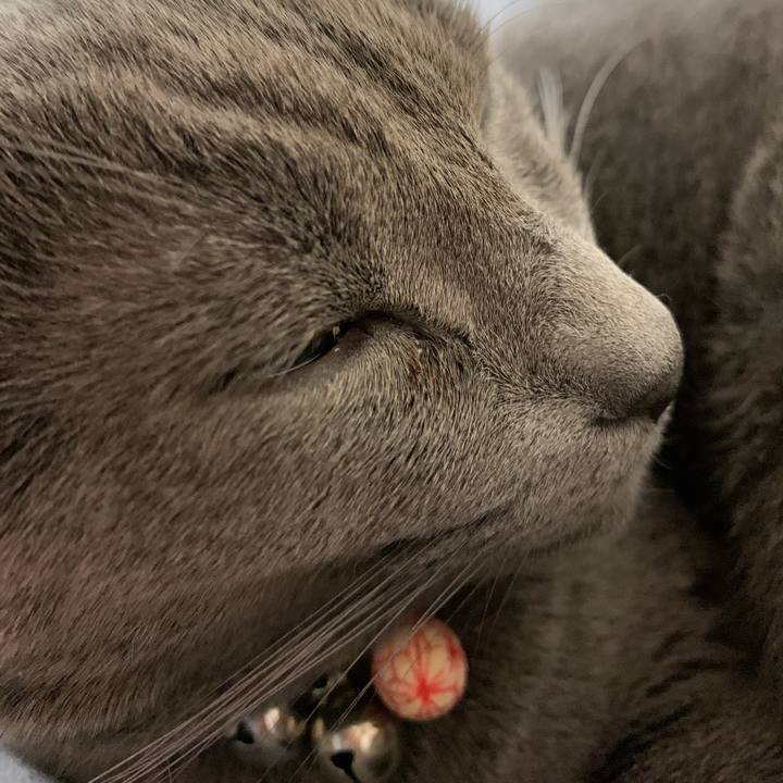 7652eea0 41d7 4743 b4d6 808e999a1ecd 1604729311643