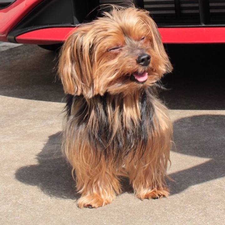 765320fe 02aa 4f6b 8e66 79547ffae556 1537241848207