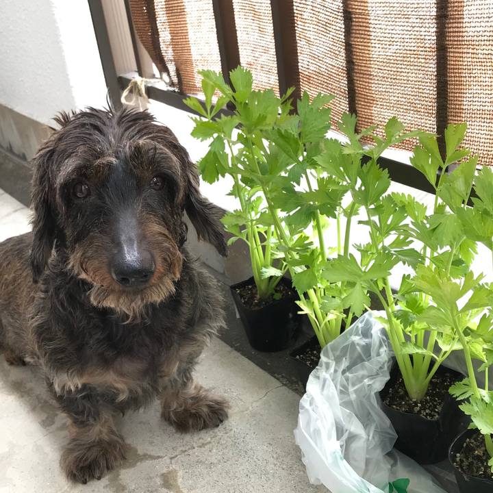 76533dda 9706 47a4 87c1 20334e848b19 1539138003035