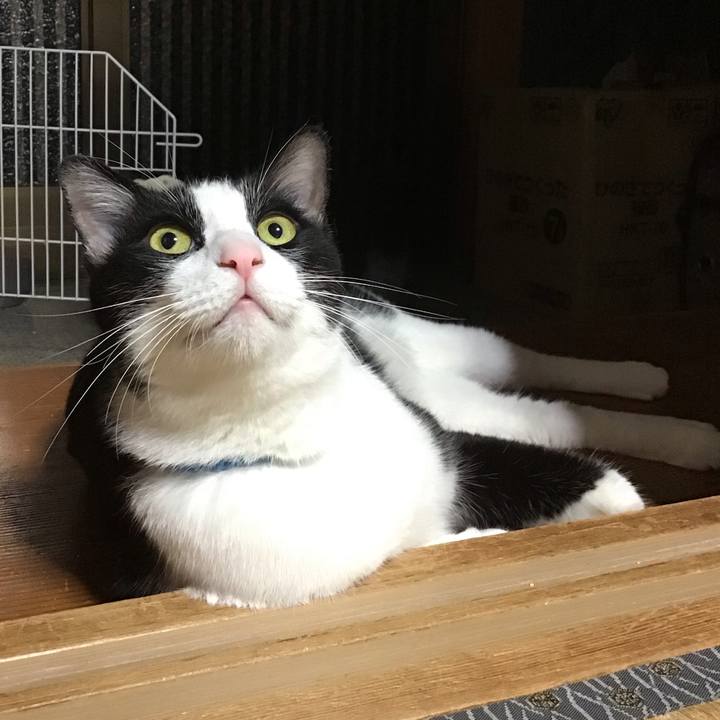 76535ad4 874d 474a a09e 95059a19f222 1694945571199