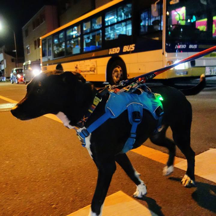 7653eb17 37ab 462f aa91 63f6e6646902 1610101497644