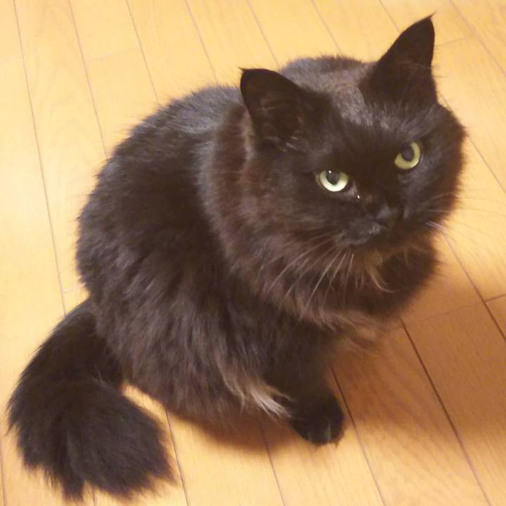 7653f3ec b2d4 4643 b405 c89d42f1fefa 1520691423806