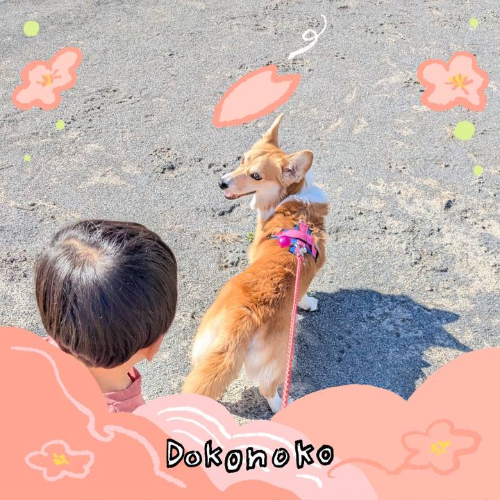 76548786 ee2f 429a 8638 dc1c3613b99f 1775689805855