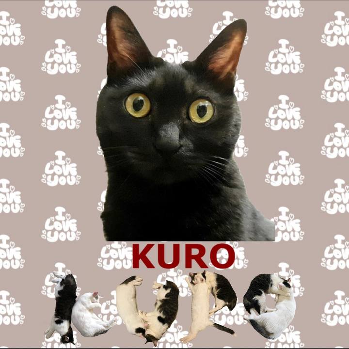 7654ac97 ae0e 4de7 9a0e 315994608ff1 1668692480122