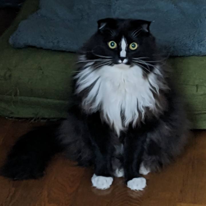 7654b0ec 23aa 4d4e b6e1 a09ee95b1395 1673096436704