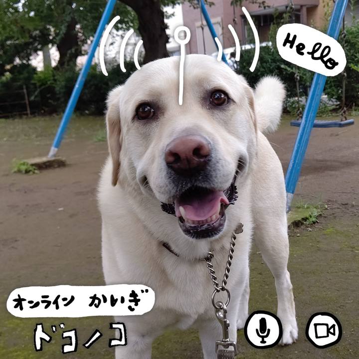 7654ceb6 374b 4b6e a11b 33e6baba6a4d 1594105644291