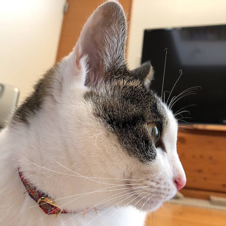 7654dbf4 cf21 4c5c a395 0374f821f1c8 1639175956933