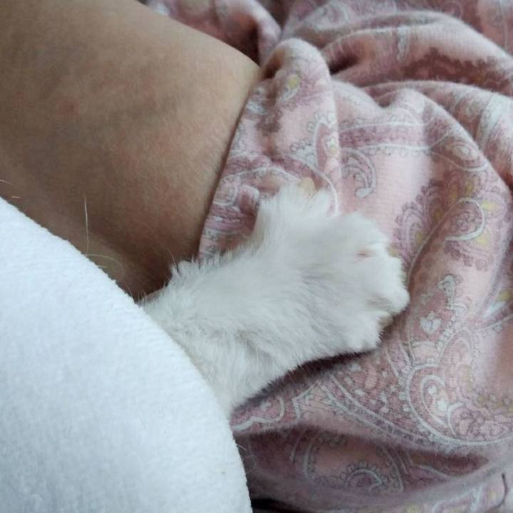 76550a9b b0e5 4fef 8150 8c27c2fa37c5 1548989788580