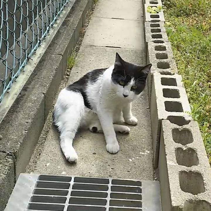 76554513 b6fc 4451 8194 605aeb9dc3cd 1553403416647