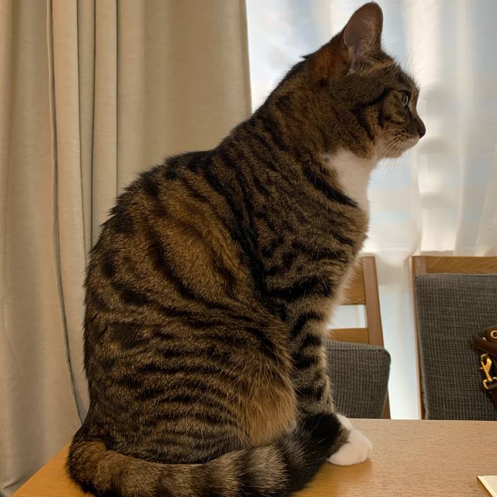 76555bd8 d350 4dbc a673 ba53edb25ac8 1625360790874