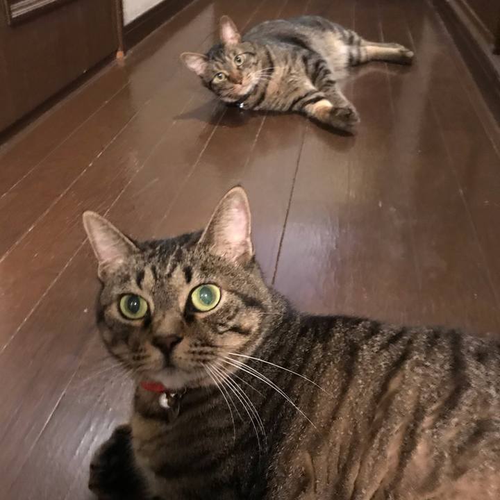 76556084 4bd8 4e5c 9938 a02ab1ee7e1b 1563374978790