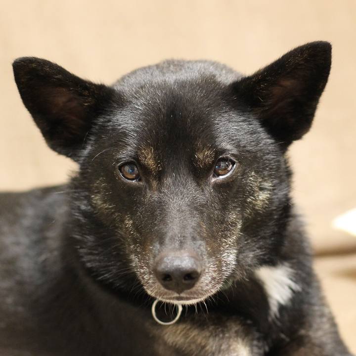 76556cc7 a2cd 4285 ba81 03ebab26aeab 1552615071399