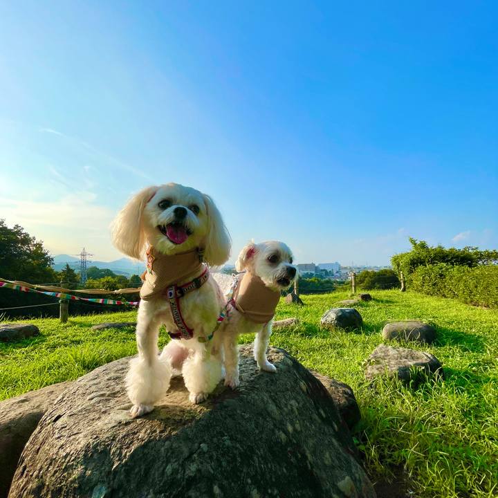 7655a851 7097 4242 bb34 b2ac23496e40 1627724806524