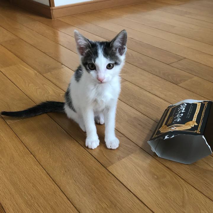 7655c485 2e05 4255 9e0c 3b51492ce662 1562141131299