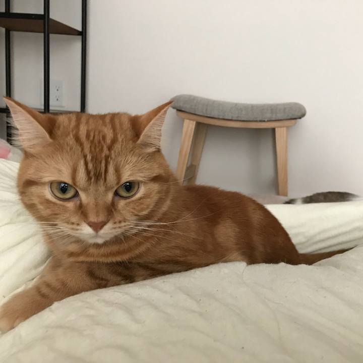 7655d00f 9942 42a8 9250 3a25e6957d97 1527295159733