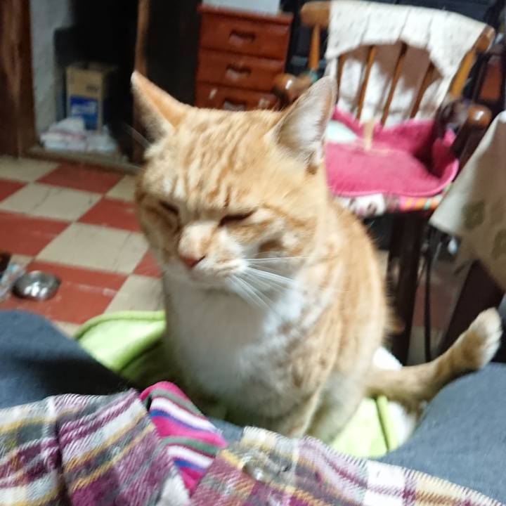 76560778 45f4 497d be8f 54b0162895dc 1581800841684