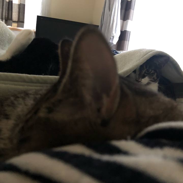 76561fd3 a8b5 42fb 9bd3 a3d19eca862d 1573158496024