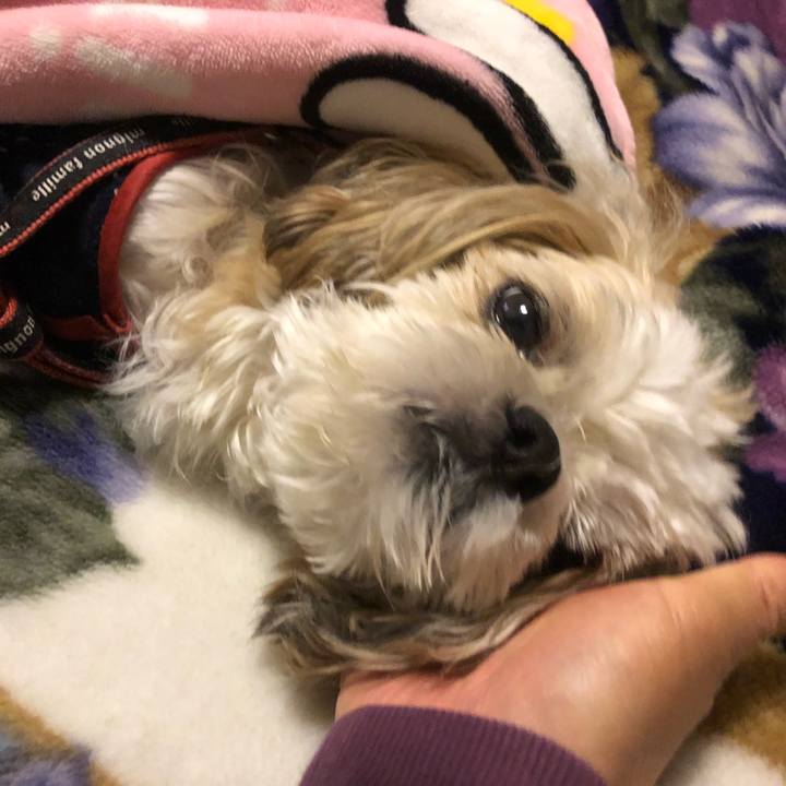 76562a07 8519 403e b54d d276654fb4bf 1634766654620