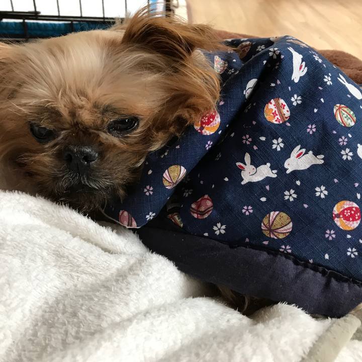 765641fc 6b16 4e44 9ecc cb44b0c7c79e 1565584980286