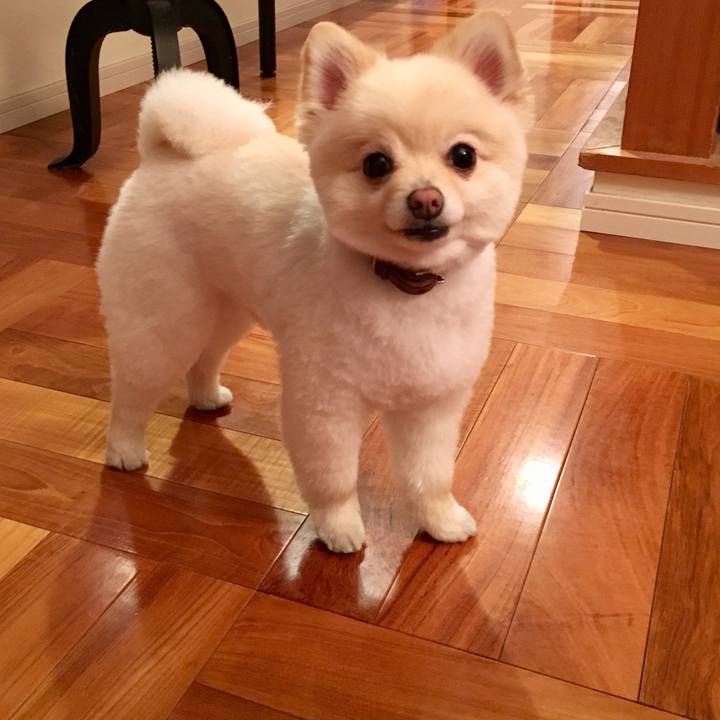 76564832 5e80 44df 8940 d7c386adaaa8 1522675102676