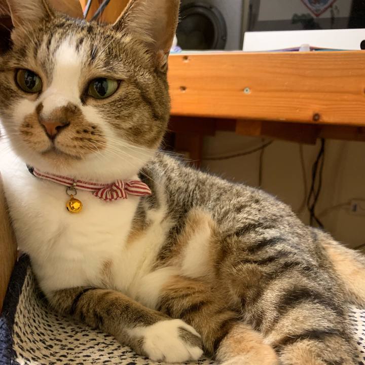 76565502 2af3 43fd 8944 ef7859b0da8a 1566733164105