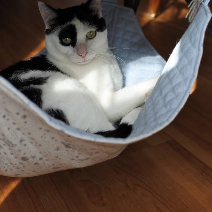 76565828 be3e 4557 8f17 0e3e55a62365 1527405026696