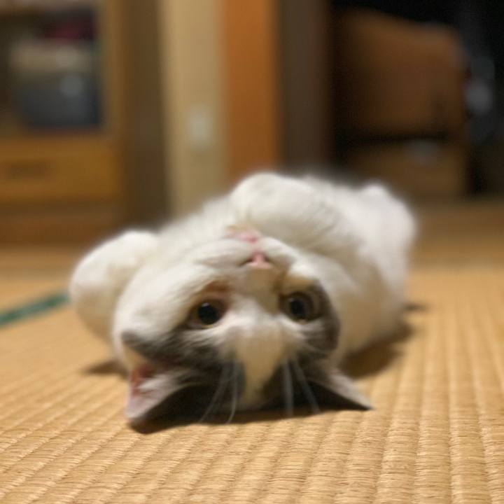 7656a0cc b778 4841 8940 93933da79660 1694827836727