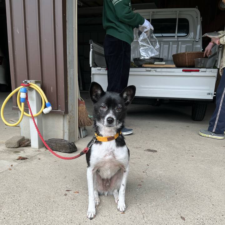 7656b74b ad66 4c5f a53f 9fd973bbd423 1698672464161