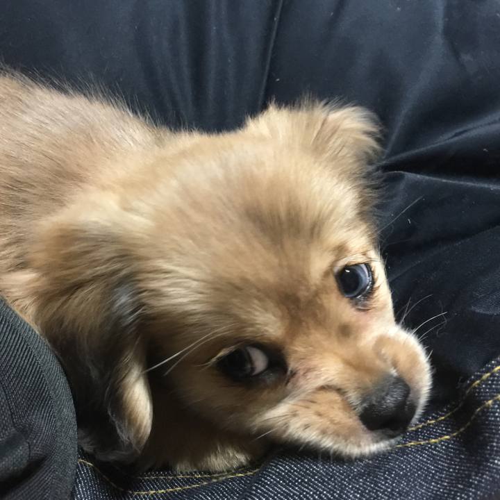 7656ca73 a80f 4d80 bafd c724faae1128 1537997511235