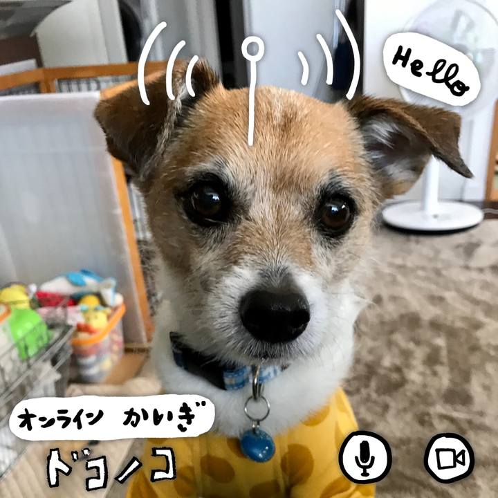 7656ce90 31e3 43f7 b1c9 72bac3984aa9 1590709505145