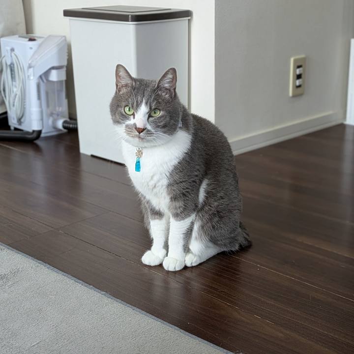 7656da46 cde2 4c4f b8e2 fb4705ad003d 1742522559652