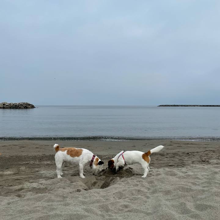 7656e7eb 92b4 46ea bf4c 18718450d250 1623194557558