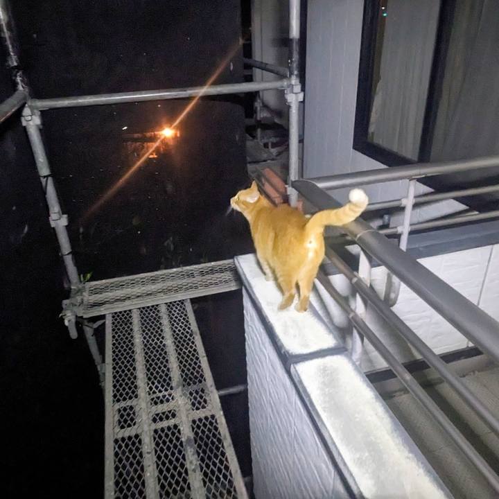 76571b8c 552a 4589 9663 e0dc8a5b8856 1771169050290