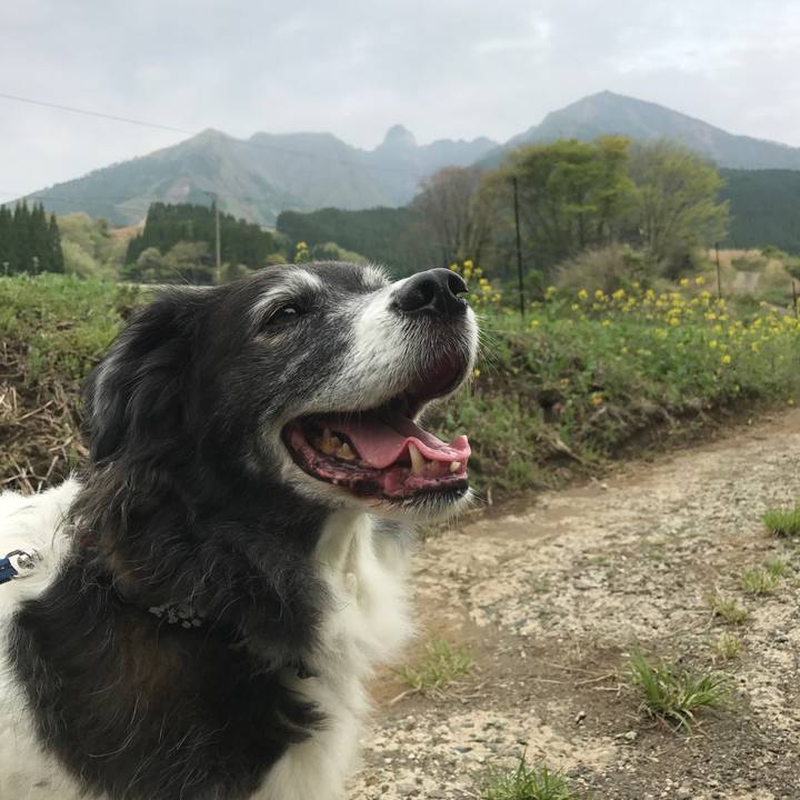 765736eb e08c 4034 b3e4 69cf6db86ac8 1524443290586