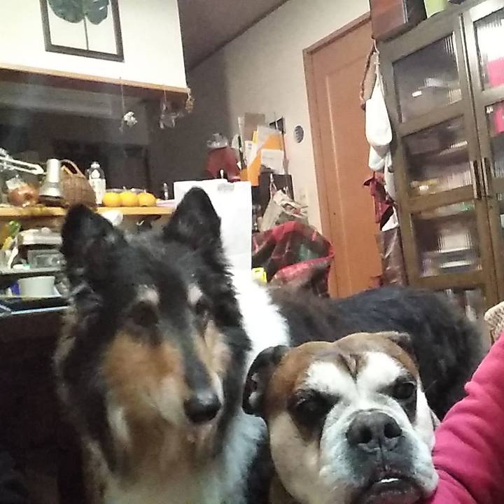 76574106 23aa 4087 8bcb 89498eff0680 1581682571237