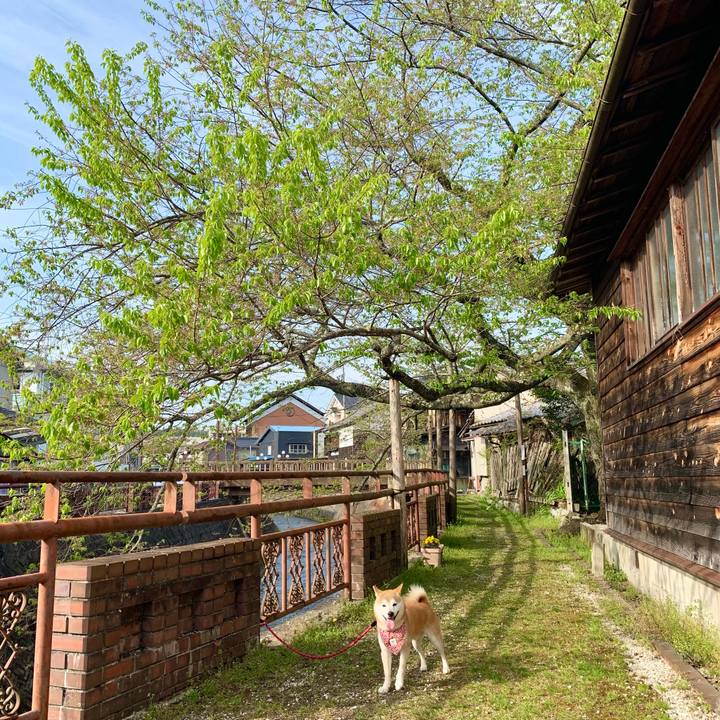 7657439a 005e 42c5 88bf 546681a620d6 1650626229269