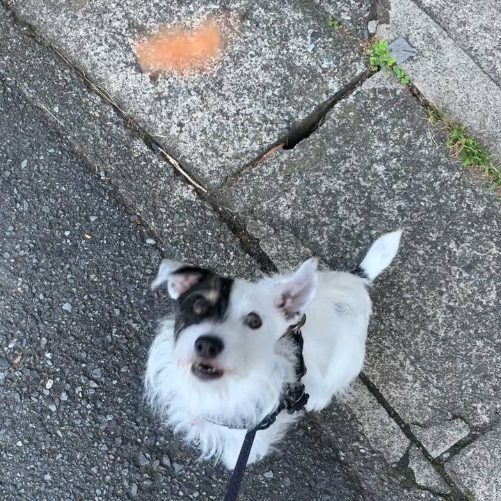 76575dbc 708e 46aa b249 a6a197c14181 1696201494245