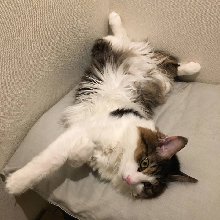 765776f1 dd71 4b38 a621 83cb5cbe7554 1531107659009