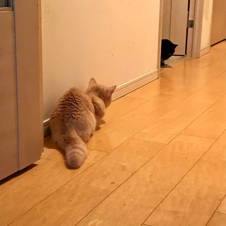 76579d95 a411 47cf b1c7 931191c4b6c2 1521412230575