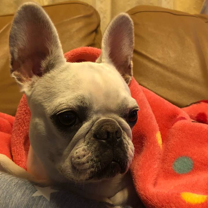 7657b153 6f8d 49a4 848c 78662721049d 1540219294788