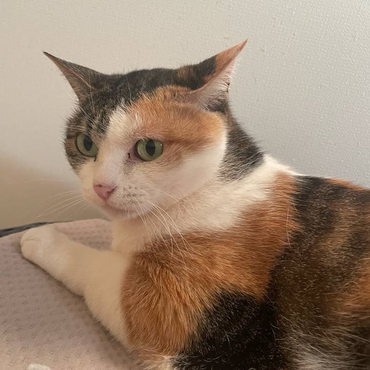 7657c1b8 35c4 4d1a b5bf f86129d19f1e 1742713164984