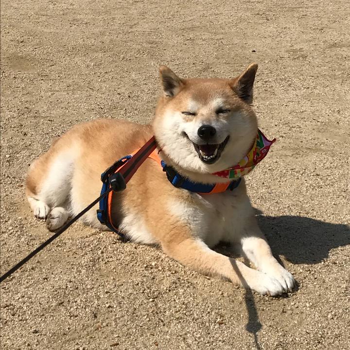 7657cb58 a0d7 41bd 8ff0 ac1870851555 1524222622858