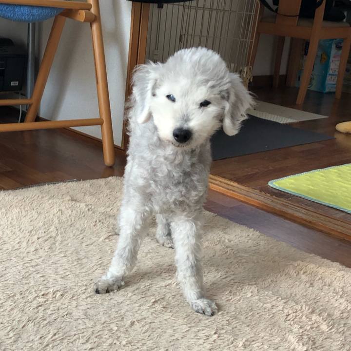 76583e99 97c0 45b1 a19b ce26760b4056 1653349467710