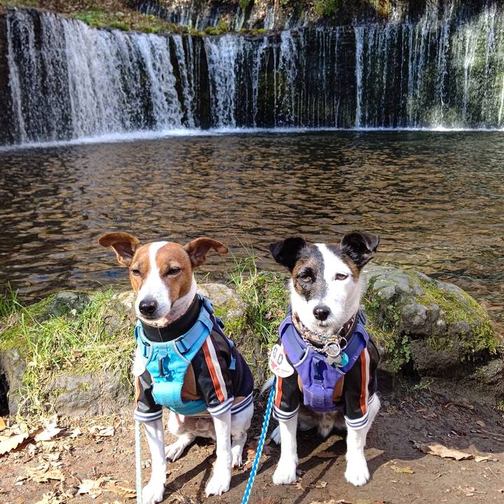 76584eb3 f98f 4600 b799 b38b4d74ae8a 1667809731568