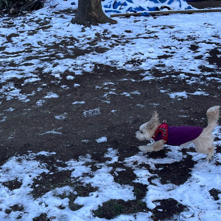 765851da b9f4 450a 99cb ff0aa55d3075 1770695268528