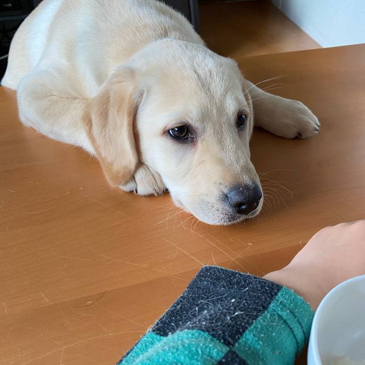 76586733 589a 470e 8d5f 03789f53c56a 1614031945841