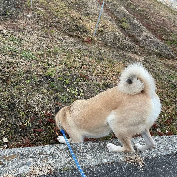 7658a593 3cc7 4e9f aefc 9e305479eef0 1643282951012